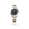 Rolex Explorer - Gandelman