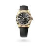 Rolex Sky-Dweller - Gandelman